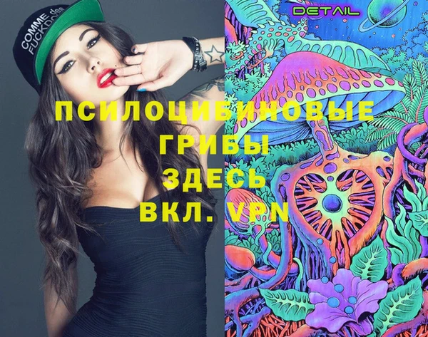 тгк Новозыбков